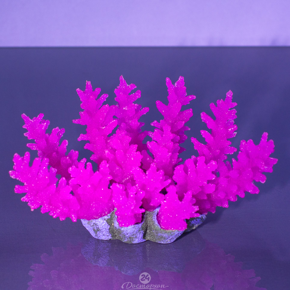 Коралл цвета в ассортименте силиконовый d-21 см