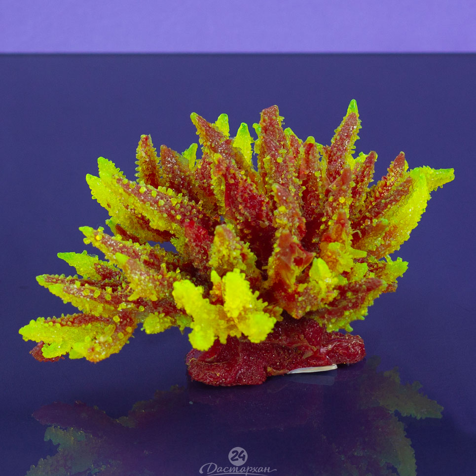 Коралл силиконовый цвета в ассортименте d-25см