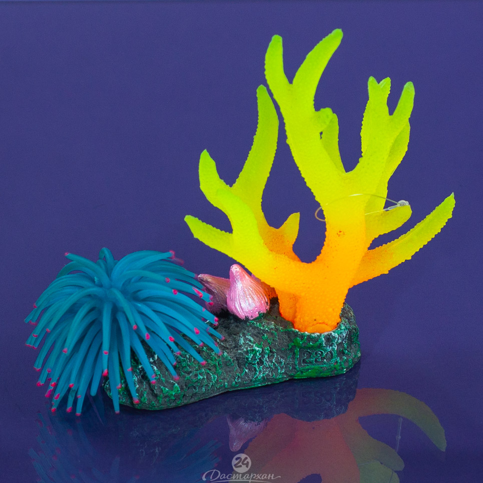 Коряга с кораллом и анимоном цвета в ассортименте