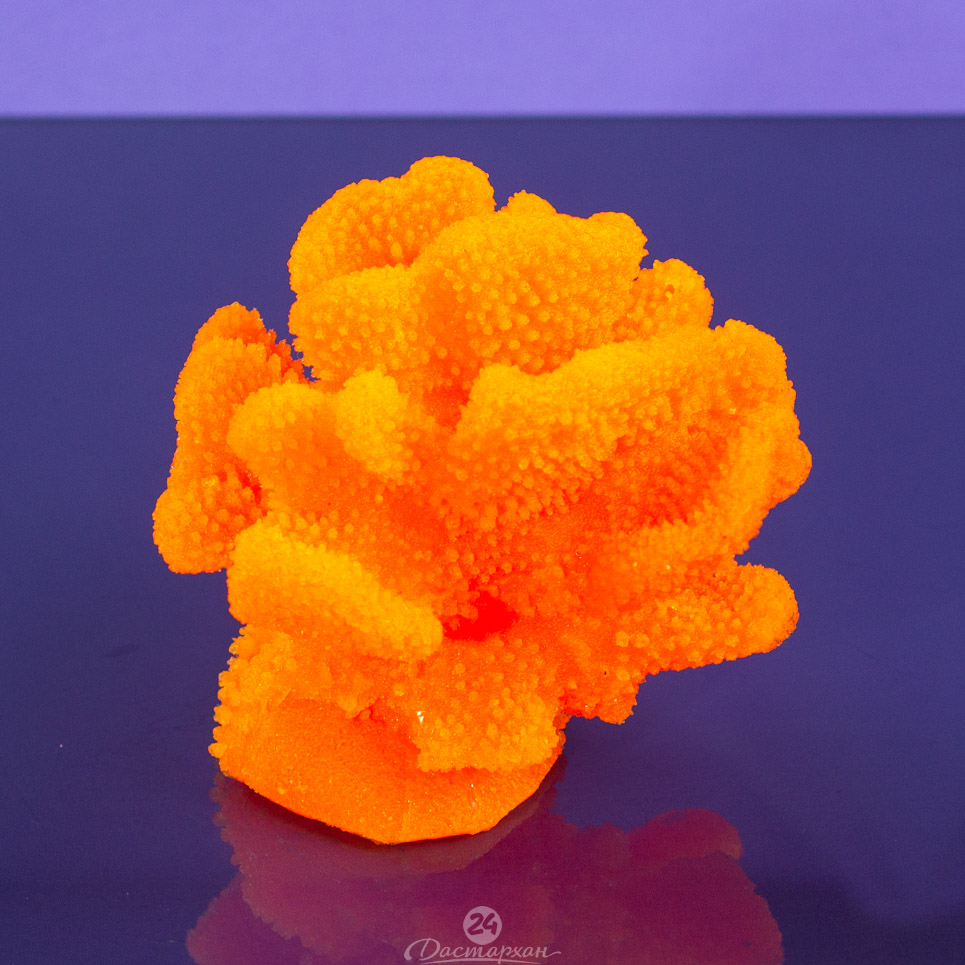 Коралл оранжевый силиконовый d-16см h-14cm