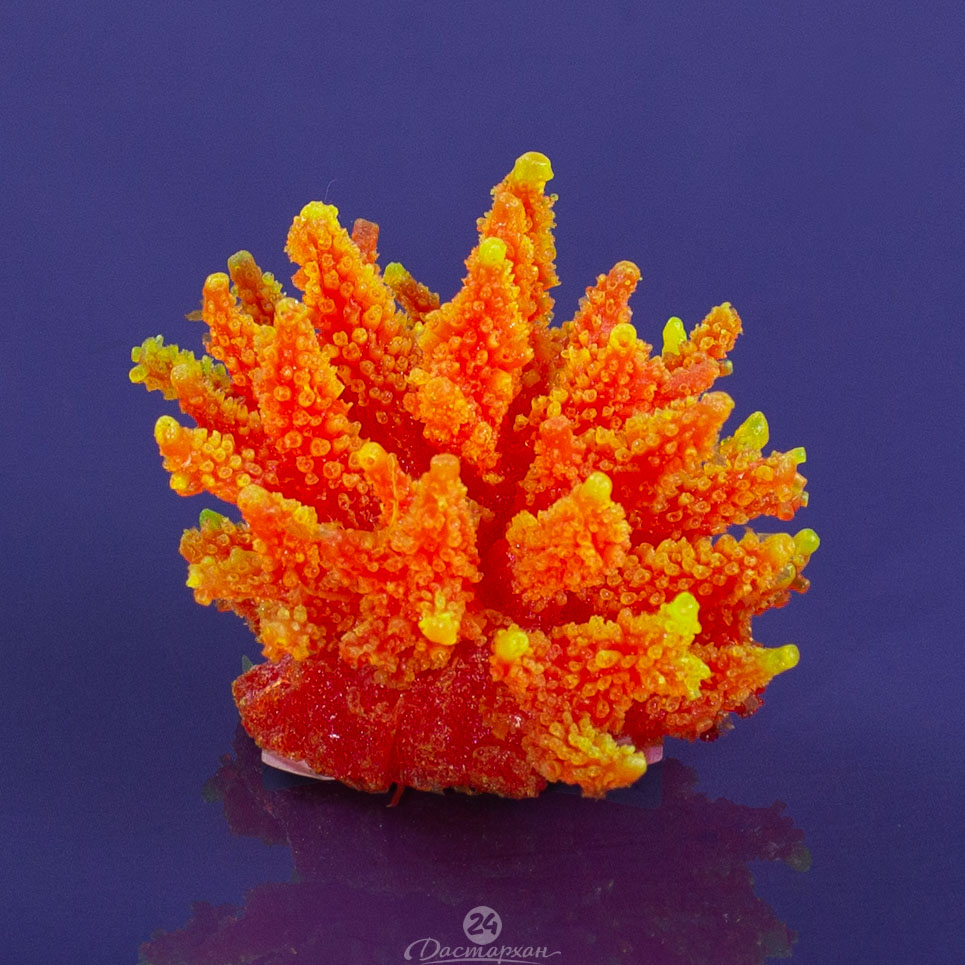 Коралл цвета в ассортименте силиконовый d-9 см