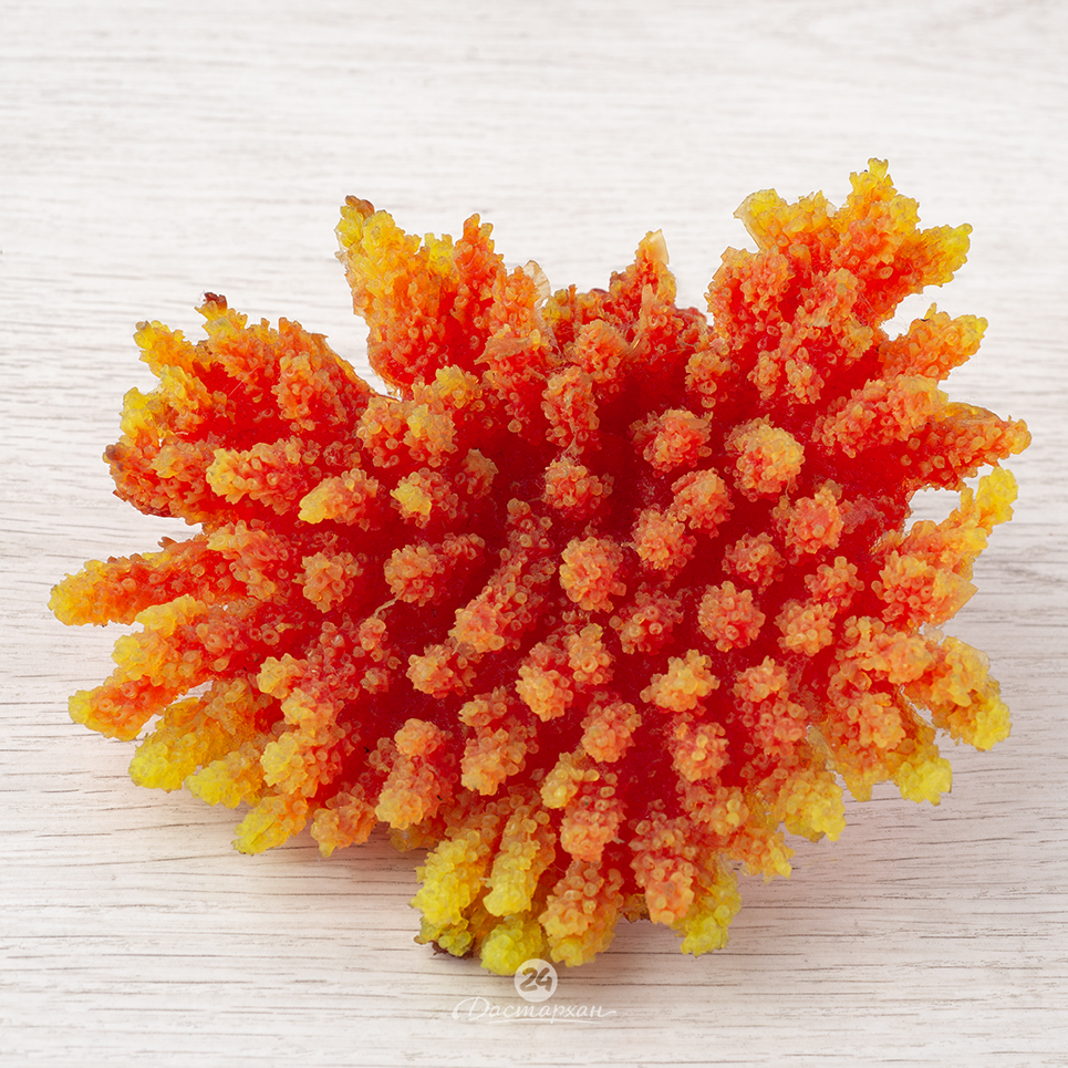 Коралл красный с желтой окантовкой силиконовый d-20 см