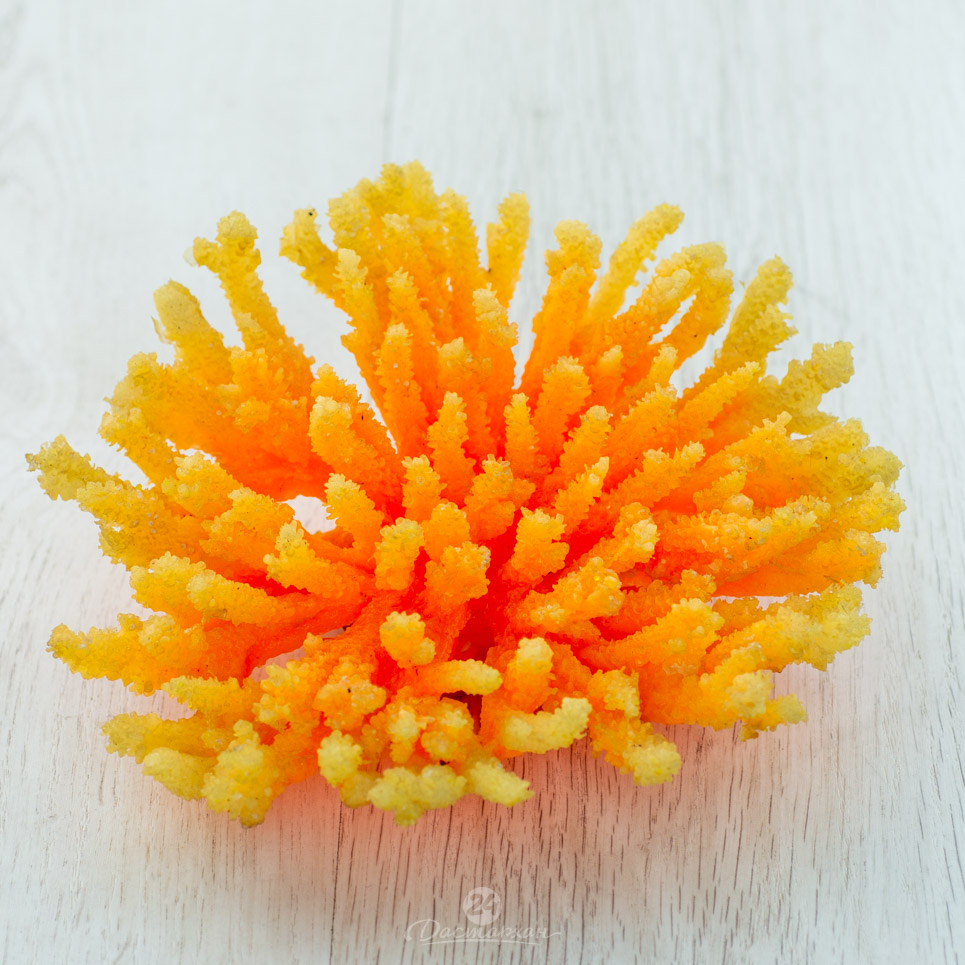 Коралл оранжево-желтый силиконовый d-22см